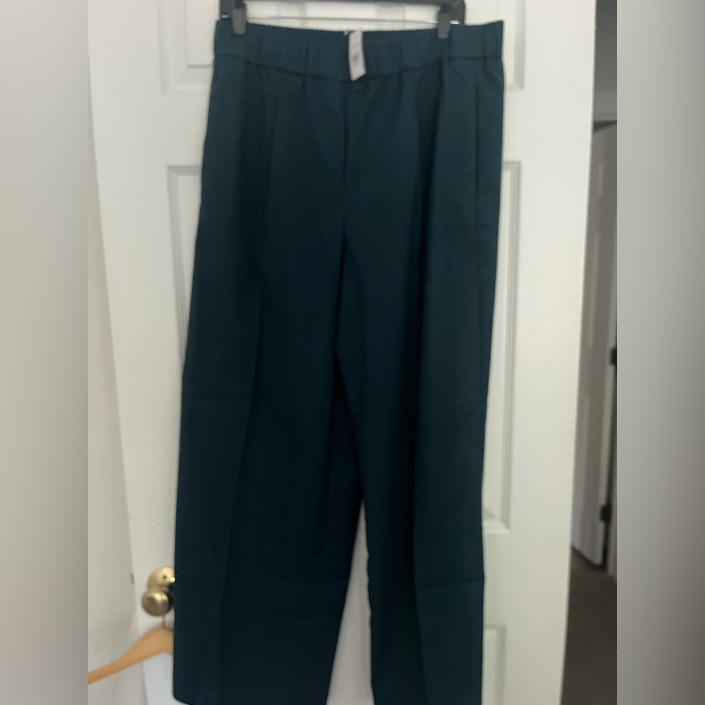 New NWT Ann Taylor Teal Relaxed Pants Trousers Size L
